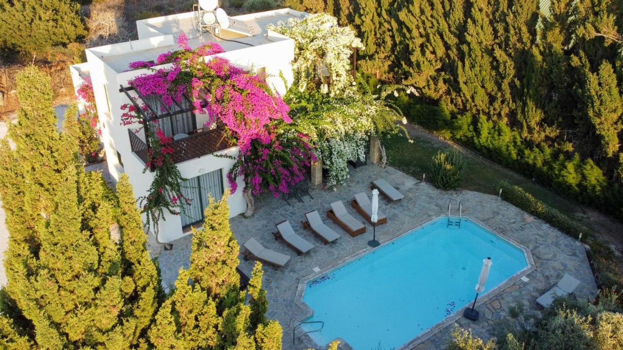 Banana Sunset Villas Paphos Esterno foto