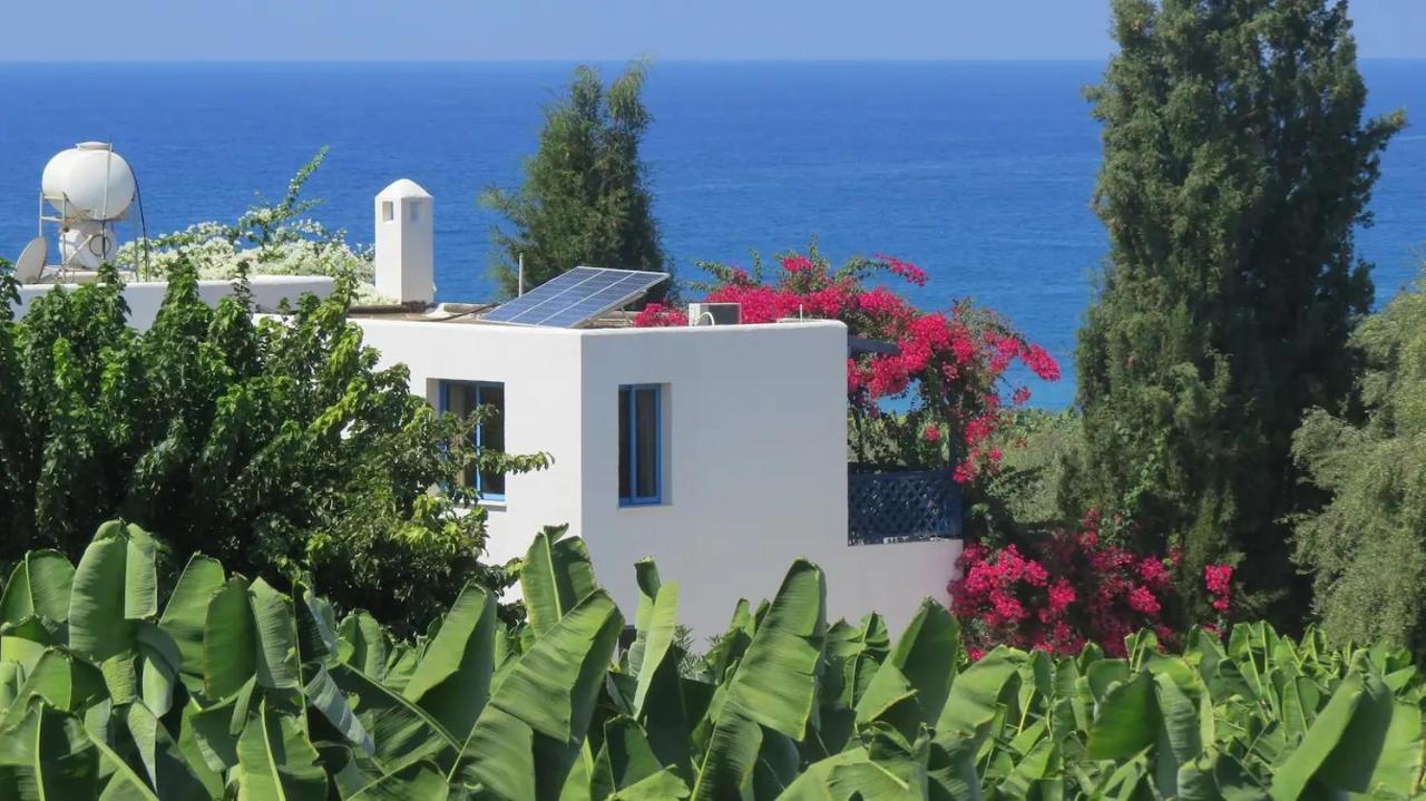 Banana Sunset Villas Paphos Esterno foto