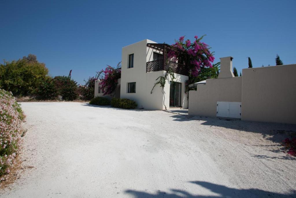Banana Sunset Villas Paphos Esterno foto